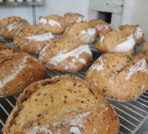 Sans titre-photo-page