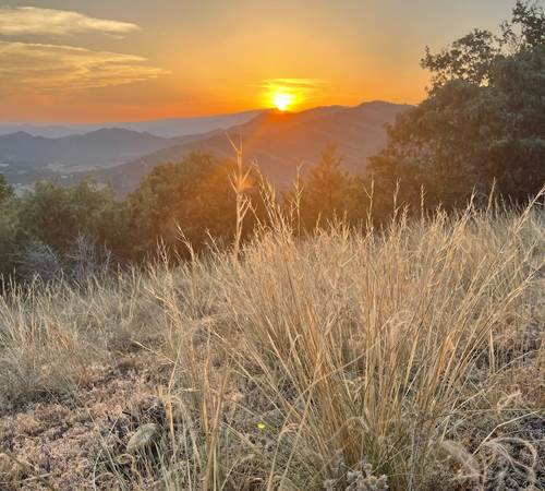 La balade du Puy (balade partant du Vieil Aiglun)-photo-page