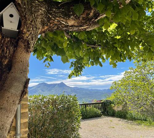 Le jardin-photo-page