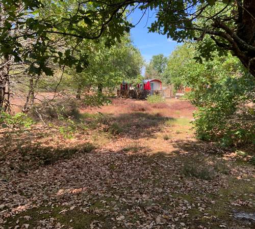 Roulotte Bohême-galerie