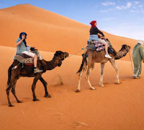 Transfert vers le bivouac à dos de dromadaire