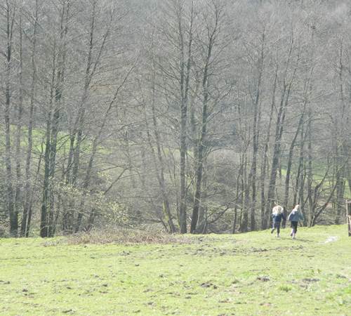 Plaine de jeux de 4 hectares - prairie - bois - étang