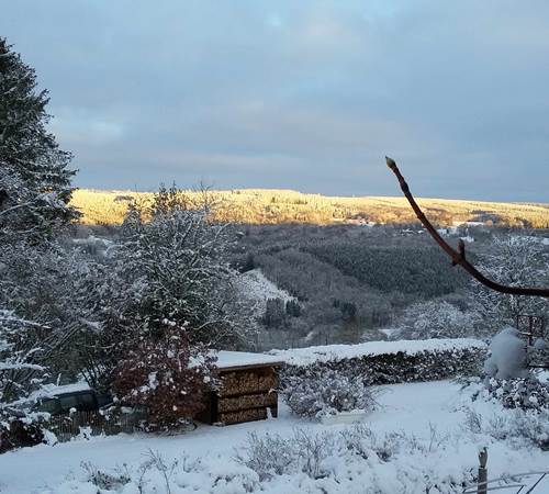 20210110_090047-galerie