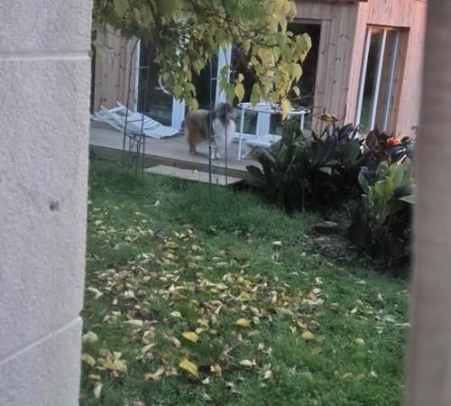 466379288_1567633253854181_7012321759907832167_n-galerie