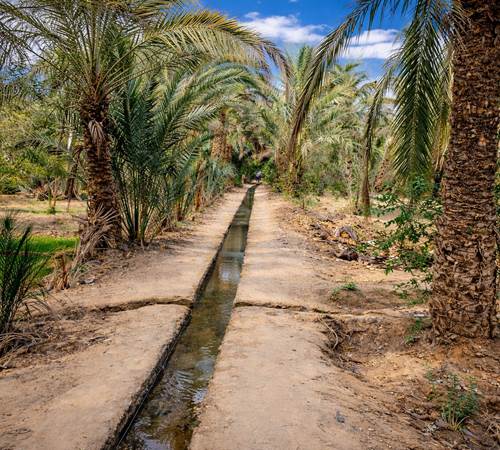 Canal d'irrigation des jardins de la palmeraie