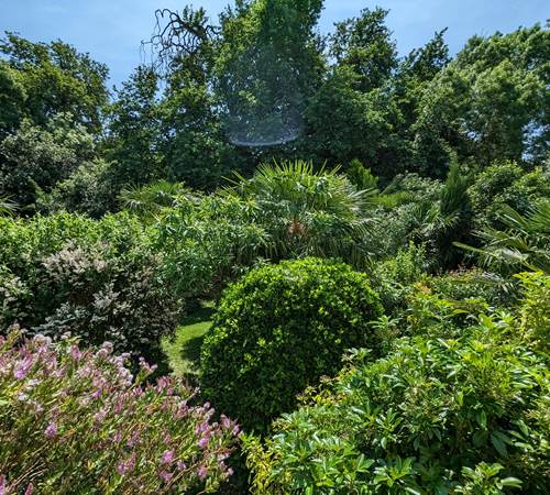 vue-jardin-riviere-la-grenade-bleue-pons-charente-maritime-galerie