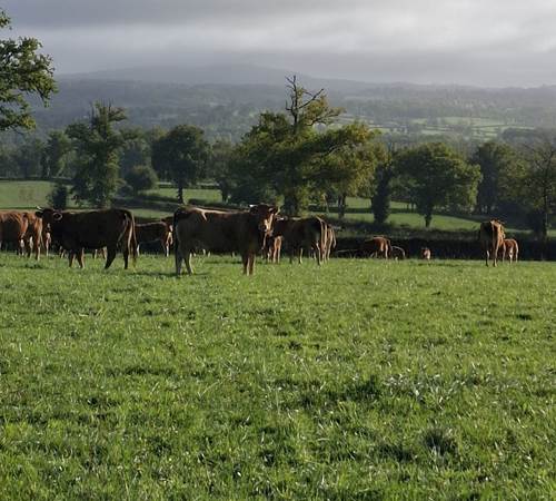 La Creuse, paysages authentiques et préservés-photo-page