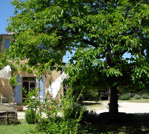 plaqueminier-galerie