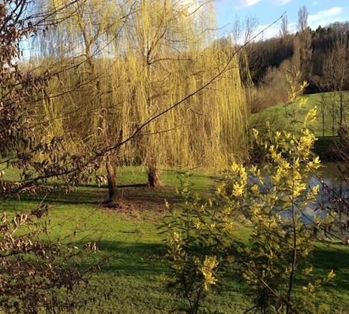 Spring