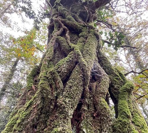 haltederandonnée_nuitd'étape_bretagne-galerie
