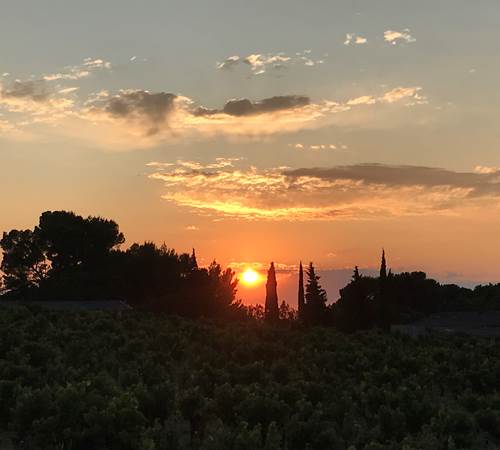 Gîte Le Levant - Coucher de soleil sur les vignobles de Châteauneuf du Pape-galerie