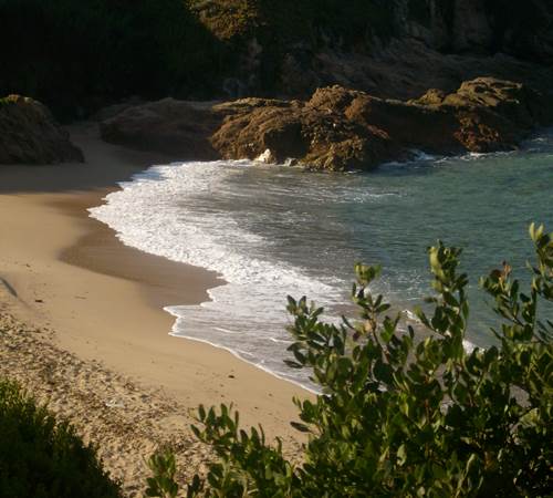 Plage à Sagone-galerie