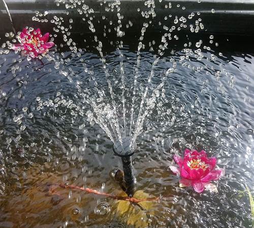 Rien de tel que le murmure de l'eau pour se détendre-galerie