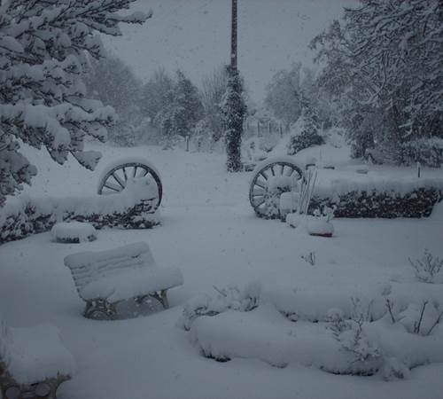 parc et jardins sous la neige au Ranch des Lacs-photo-page