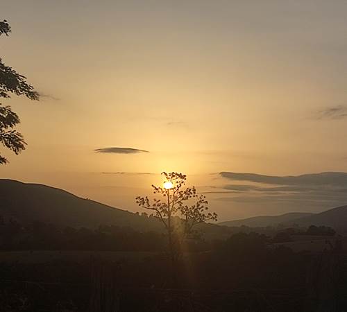 IMG_20230810_072525