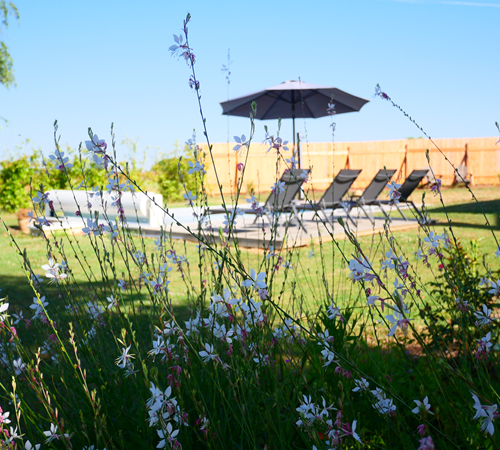 Bains de soleil-galerie