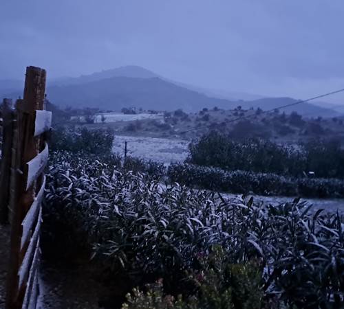 Jour de neige en 2025-galerie