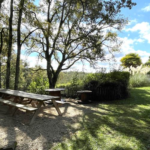 IMG_4534-photo-contact