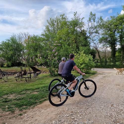 Location VTT Electriques