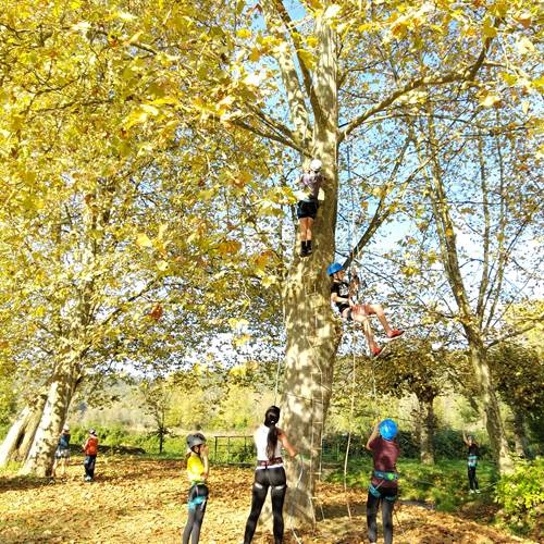Escalade dans les arbres Pau  Pyrénées Atlantiques-gallery