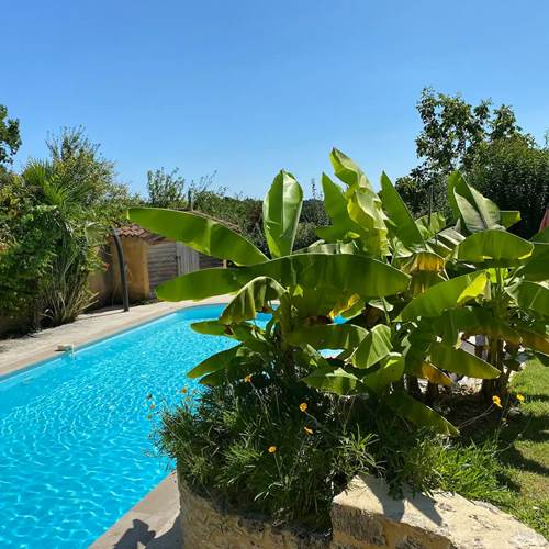 Piscine de 12m en plein soleil
