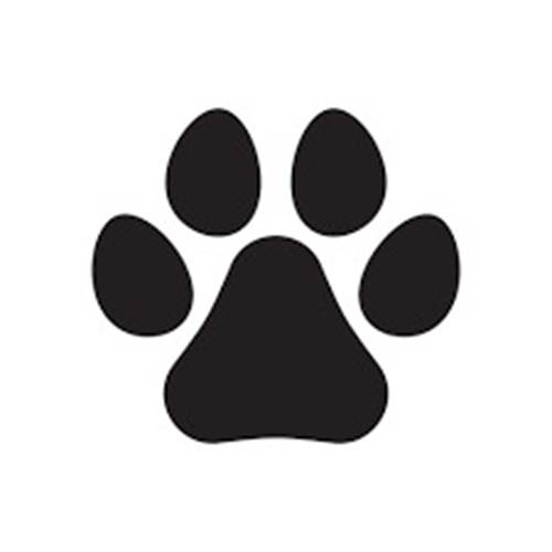 image-chien