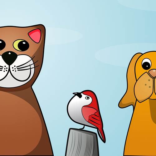 Chats et chiens ©the_iop