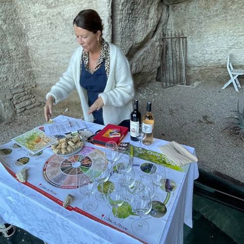 Découvrir les différents éléments qui compose le vin-gallery