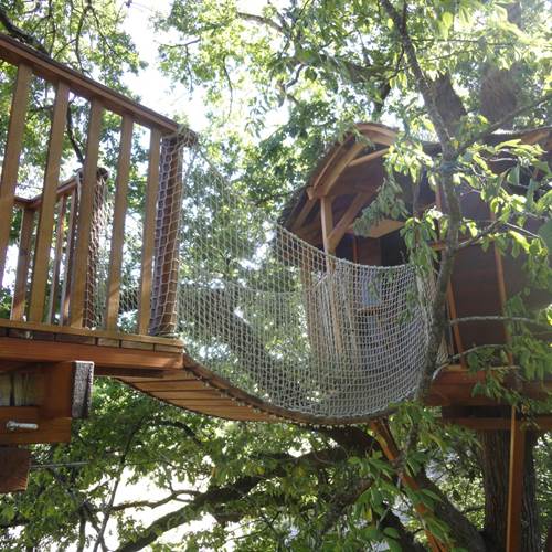Pont de singe-special-offers