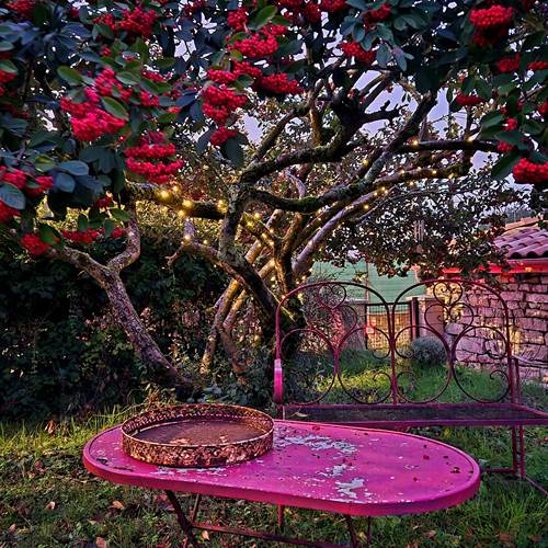 20241126_175242 (1)-photo-contact