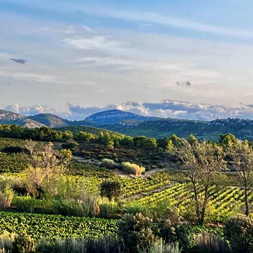 randonnée VTT à proximité-photo-contact