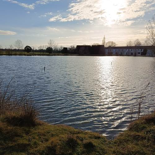 Notre domaine en pleine nature-photo-contact