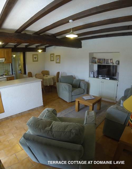 Terrace Cottage - le salon et la cuisine
