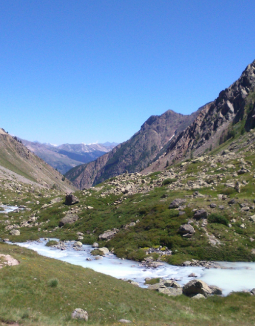 Capture d’écran 2025-06-24 111951