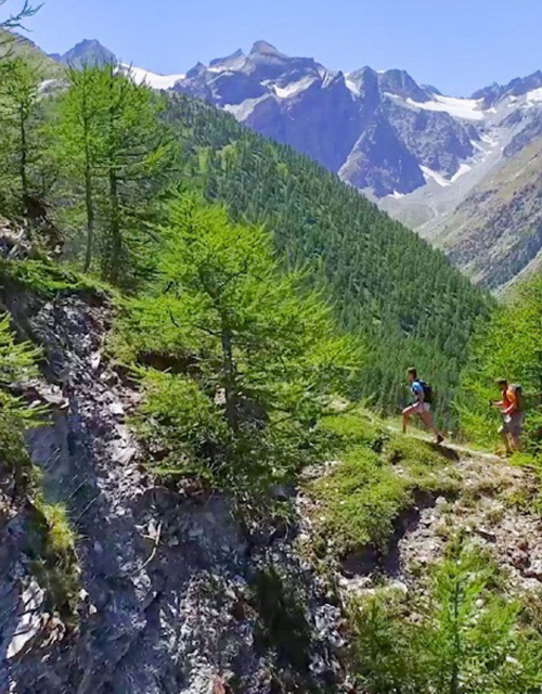 Capture d’écran 2025-06-30 080121