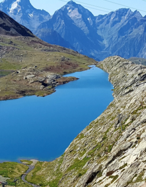 Screen Shot 2021-08-12 at 14