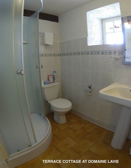 Terrace Cottage - la salle de douche