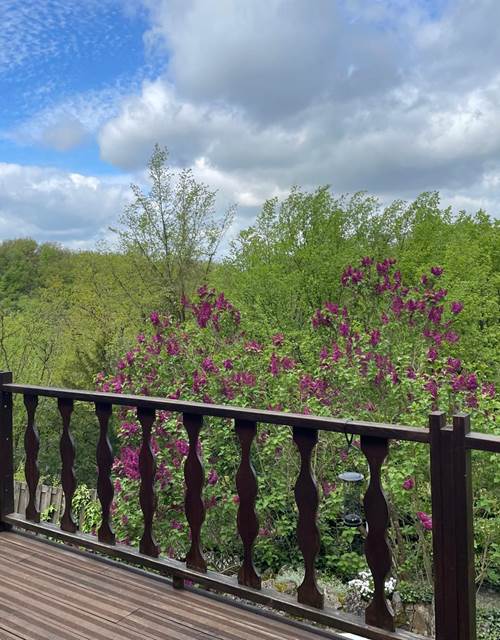 WhatsApp Image 2024-11-12 à 09.36.52_34e70300