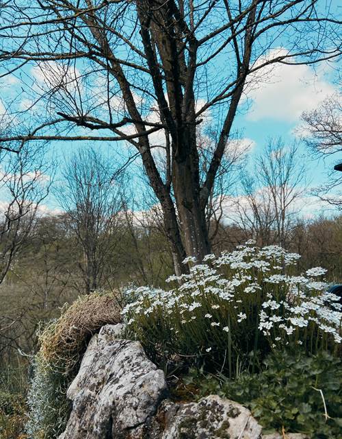 WhatsApp Image 2022-04-18 at 20.52.07