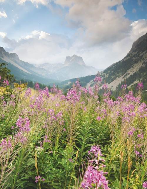 ouverture_alpes_ngt22