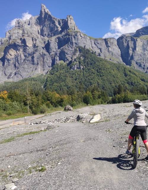 d4ce71f3-d268-4ffa-ae3c-f09a63f06749