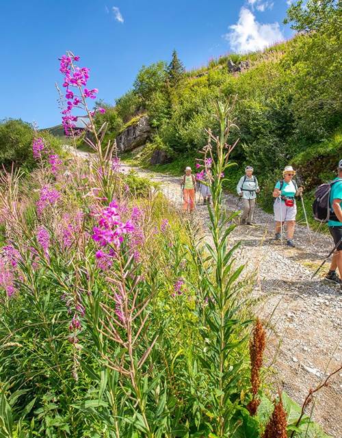 118172417_3490727220970268_990399337328867770_o