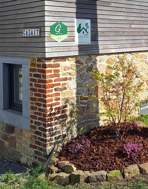 Parterre - Erable du japon et bruye`res - 18032024