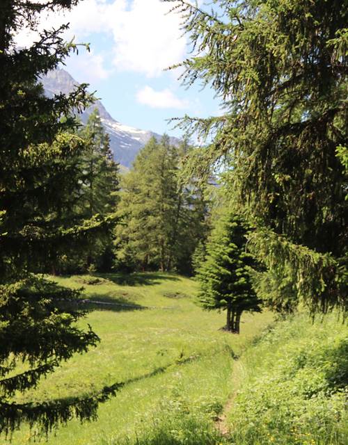 Claririère-Bario_Elfie-4