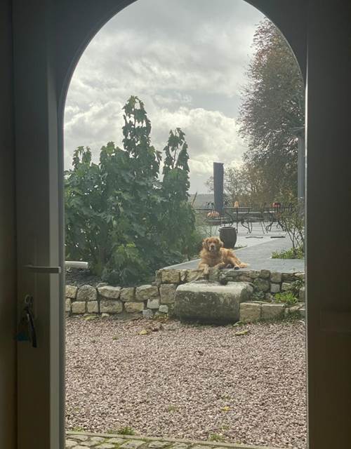 dc1f10db-bee3-4031-b81b-798e1a724c03