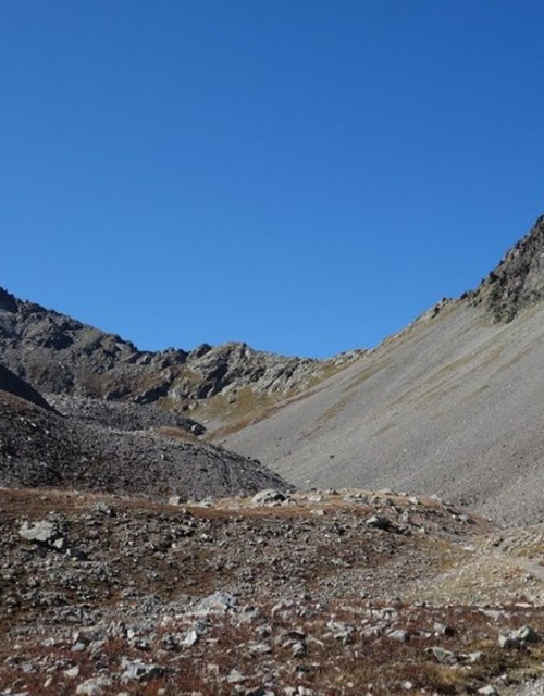 Capture d’écran 2025-06-17 100649