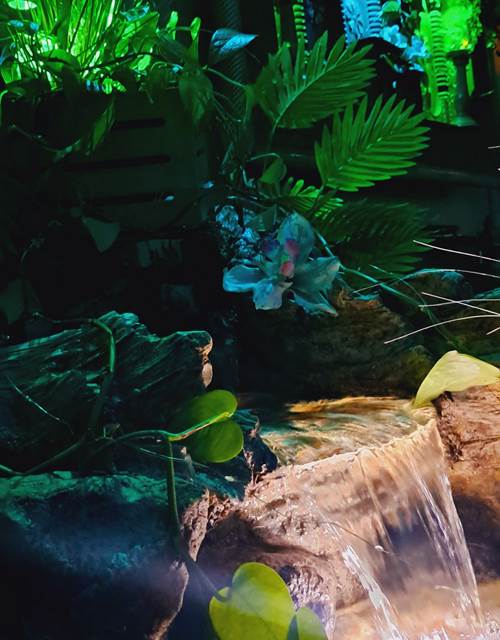 520948204_4354785938075874_7322175257014012644_n