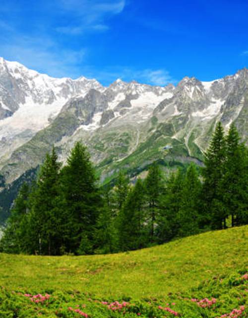 istockphoto-1351793160-612x612