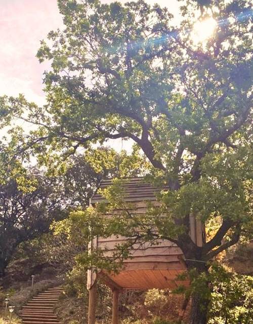 cabanes caramany camping 66 1