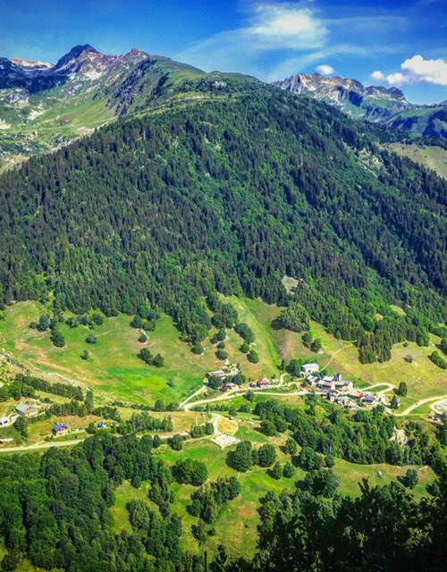 insta cellier e´te´